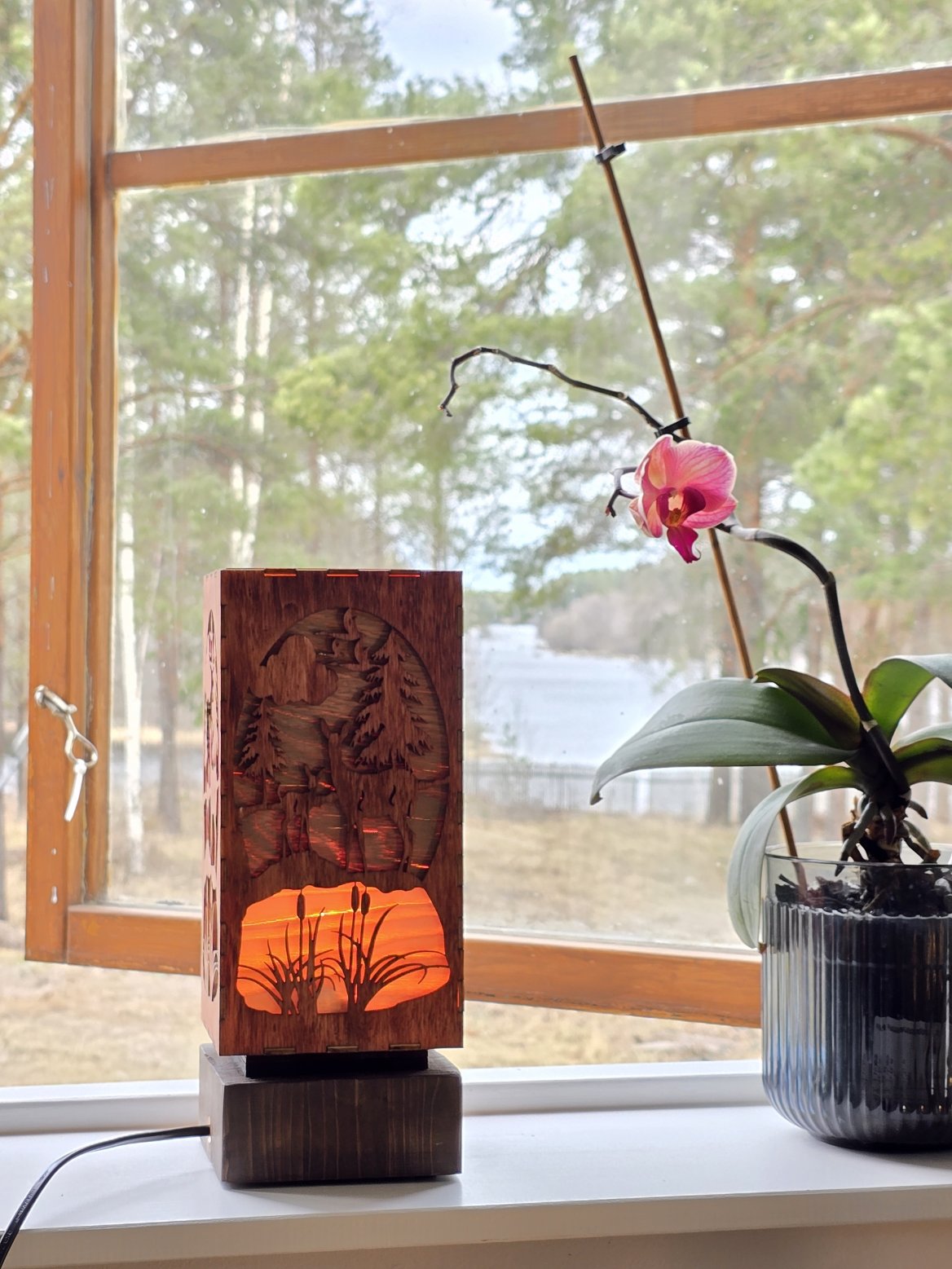 20250414 115435 scaled