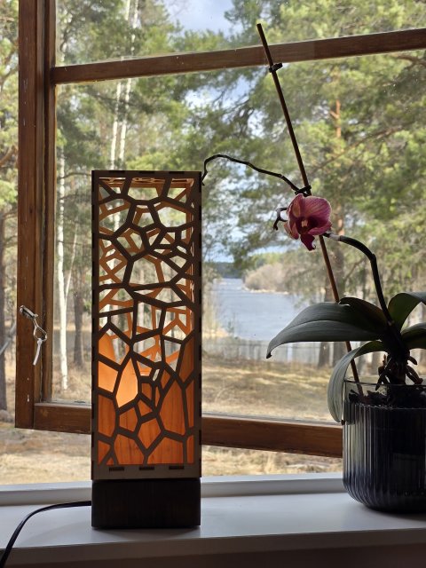 20250414 115547 scaled