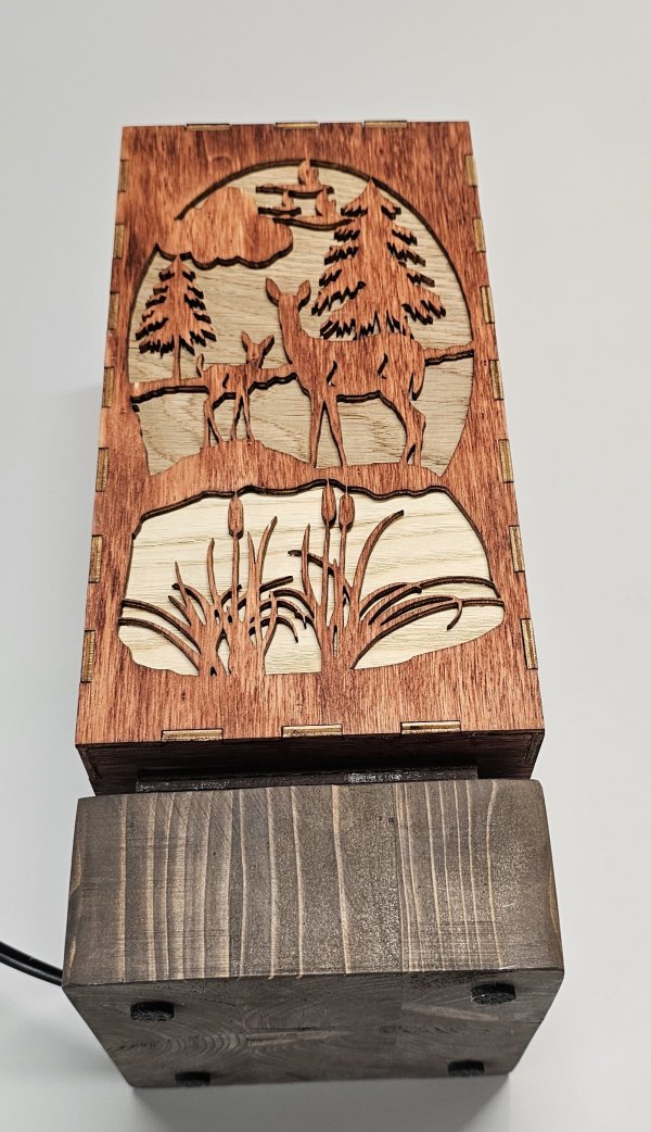 Nattlampa lugn - Bild 4